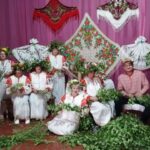 Петров день пришёл, собирать траву пошёл
